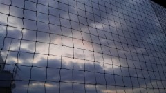 【お題日記】あなたの転機