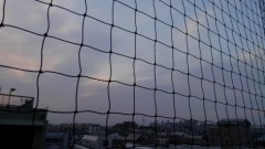 【お題日記】出会いと別れ