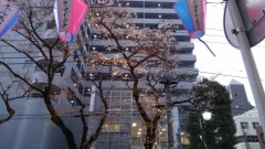 【お題日記】昨日は嘘をつきましたか？