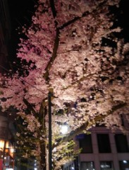 【お題日記】春と聞くと何を思い浮かべますか？