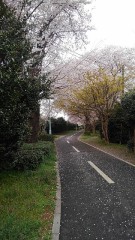 【お題日記】いつも出掛ける時に必ず持ち歩いている物