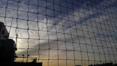 【お題日記】今一番行きたい場所