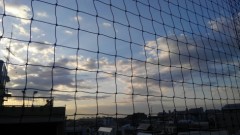 【お題日記】買って後悔した物はありますか？