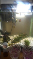 【お題日記】幸せを感じる瞬間