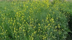 【お題日記】異性の友達によく言われること