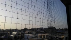 【お題日記】目覚ましに使っているアイテム