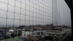 【お題日記】アースデイ・地球の日