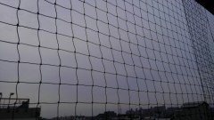 【お題日記】孤独を感じるときある？