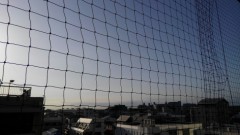 【お題日記】今日は緑茶の日！一番好きなお茶は？