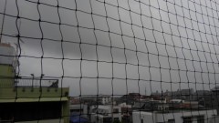 【お題日記】スマホや携帯、使いこなせてる？