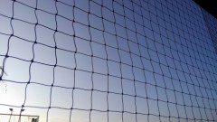 【お題日記】LINEやメールで気をつけてること