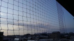 【お題日記】こんな掲示板あったらいいな！