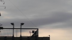 【お題日記】子供の頃夢中になっていた物