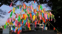 【お題日記】パソコン、持ってる？