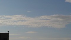 【お題日記】プチプラ