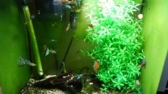 【お題日記】今日は海の日！