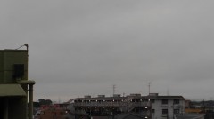 【お題日記】デジで、どんな異性に惹かれる？