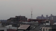 【お題日記】最近株が下がった芸能人