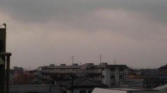 【お題日記】サングラス使ってる？