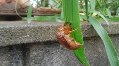 【お題日記】しくじったことを暴露しよう