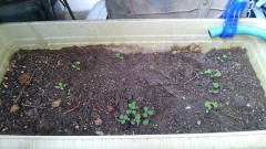 【お題日記】あなたの部屋のこだわり