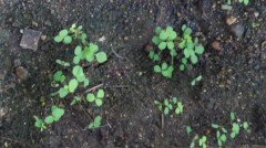 【お題日記】あなたの幸福論