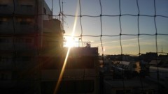 【お題日記】東京ゲームショウ行く？行きたい？