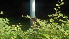 【お題日記】献血したことありますか？