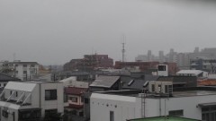 【お題日記】これからの日本に期待していること