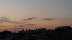 【お題日記】学校の勉強は役に立ってる？