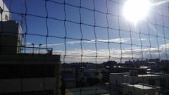 【お題日記】温かい食べ物で好きな物