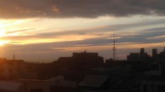 【お題日記】最近心に響いた言葉