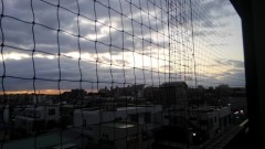 【お題日記】16年前のあなたは？