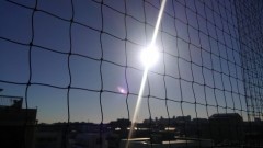 【お題日記】あなたは外向的？内向的？