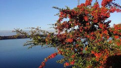 【お題日記】LCC利用したことある？