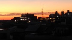 【お題日記】ネットゲームで恋したことある？