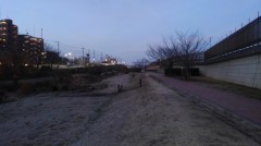 【お題日記】クリスマスに欲しいもの