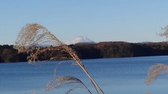 【お題日記】ついやってしまうゲームは？