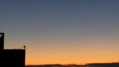 【お題日記】あなたにとって2017年最大の出来事は？