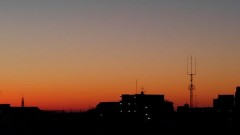 【お題日記】そろそろ飽き飽きしてきたこと