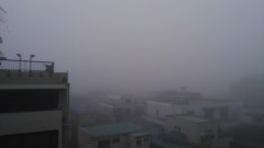 【お題日記】最近観たオススメ映画！