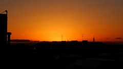 【お題日記】今1番行きたい国は？