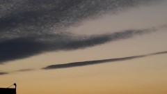 【お題日記】世渡り上手だなぁと思ったこと