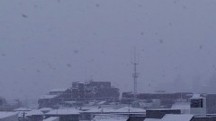 【お題日記】やめたいけどやめられないこと