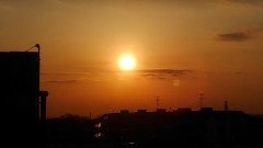 【お題日記】注目しているオリンピック選手