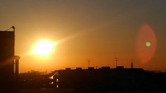 【お題日記】愛ってなんだ？