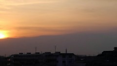 【お題日記】◯◯専用車両がほしい！