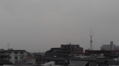 【お題日記】あなたは猫好きですか？