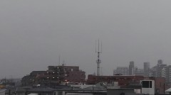 【お題日記】やって良かったと思った習い事