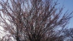 【お題日記】仮想通貨